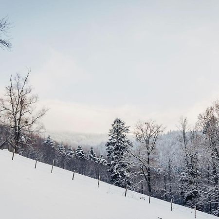 Waldjuwel Mostviertel Allhartsberg المظهر الخارجي الصورة