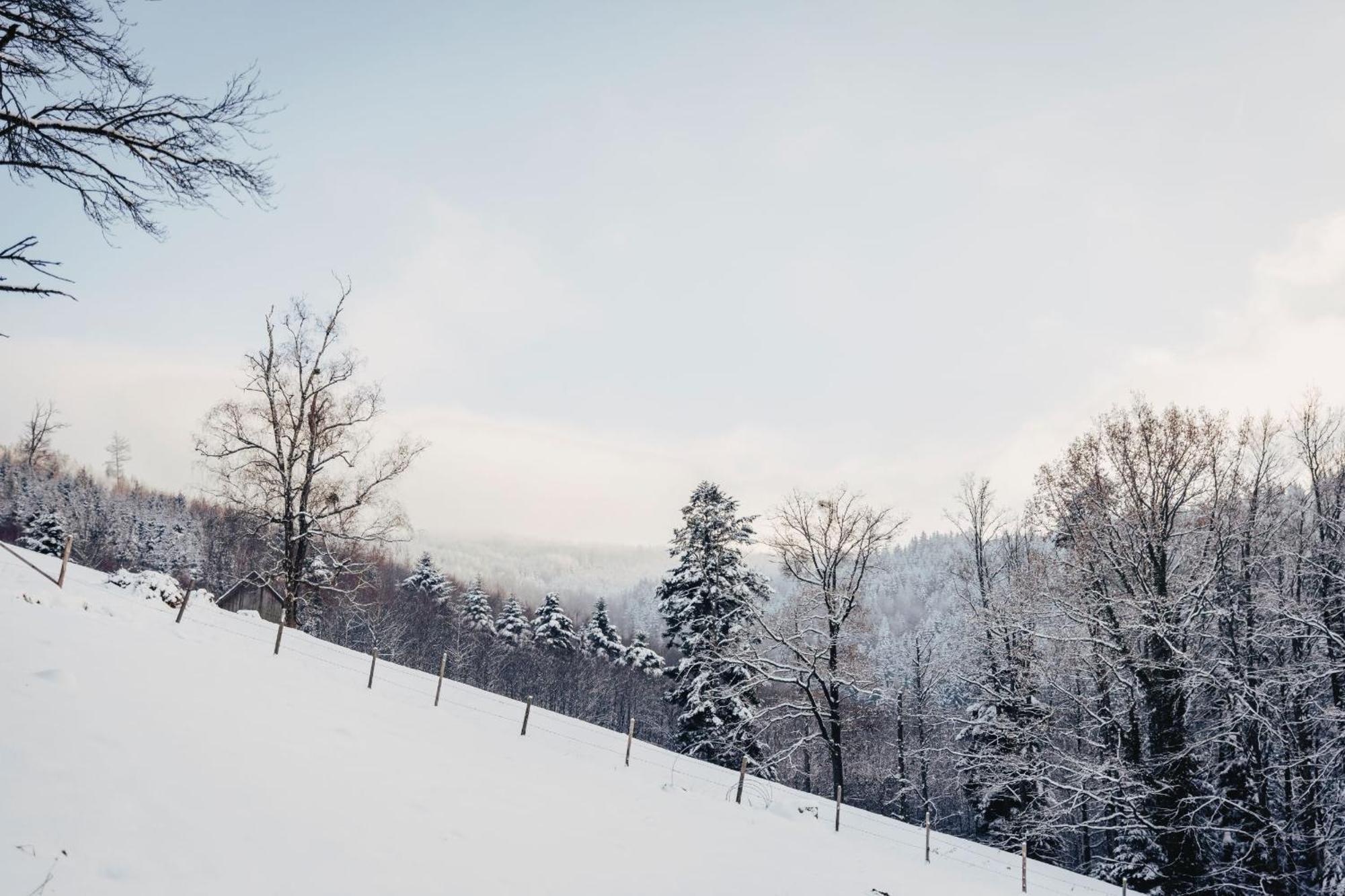 Waldjuwel Mostviertel Allhartsberg المظهر الخارجي الصورة